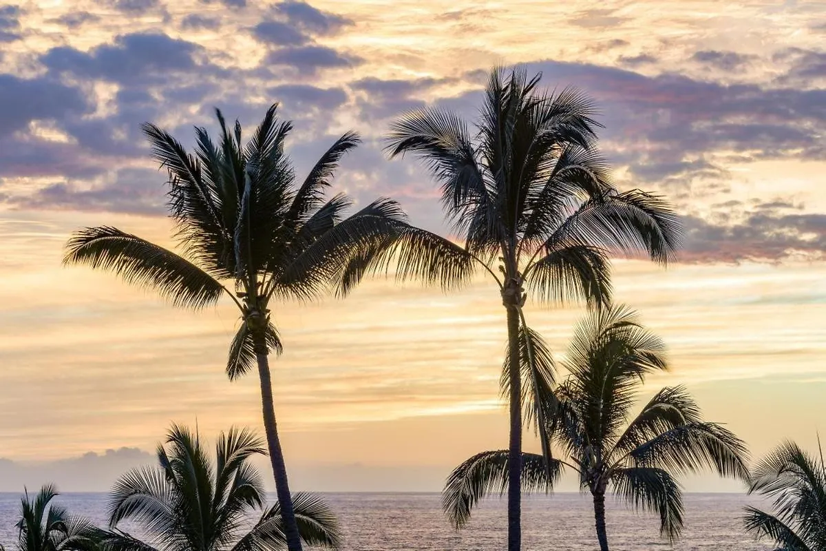 Big Island Aloha Pearl House Home Kailua-Kona 0*,
